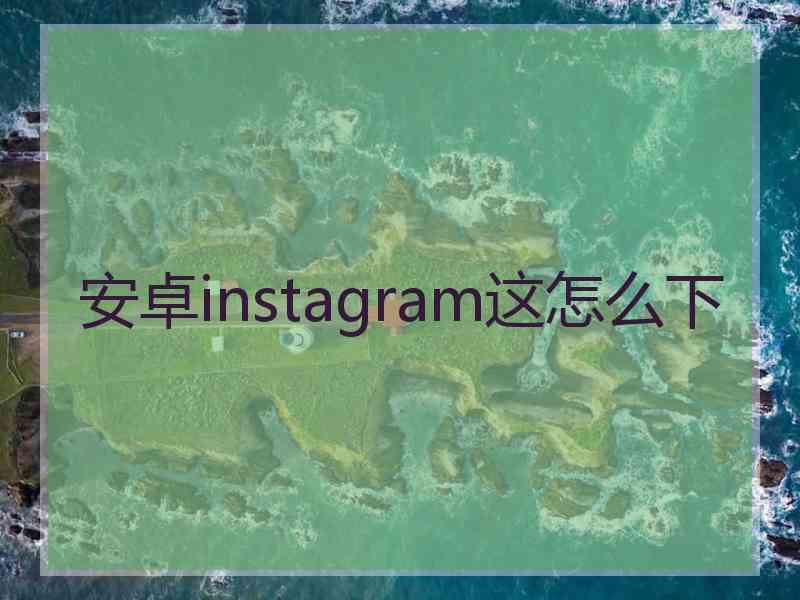安卓instagram这怎么下