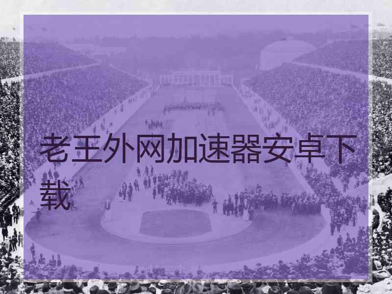 老王外网加速器安卓下载