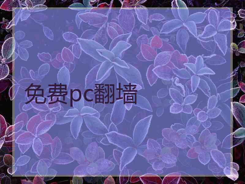免费pc翻墙