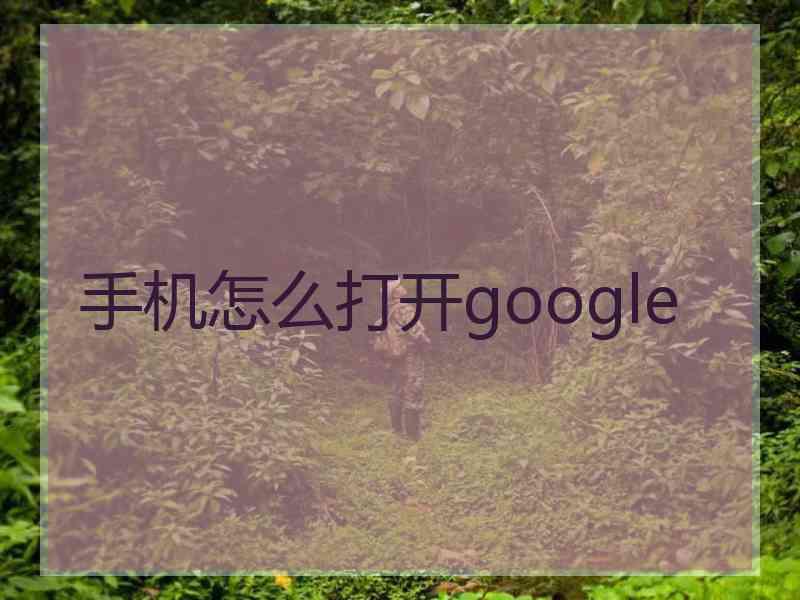 手机怎么打开google
