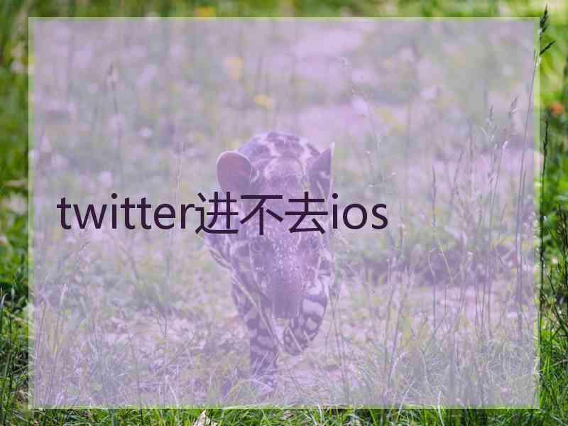 twitter进不去ios