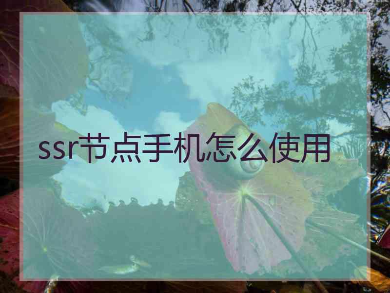 ssr节点手机怎么使用