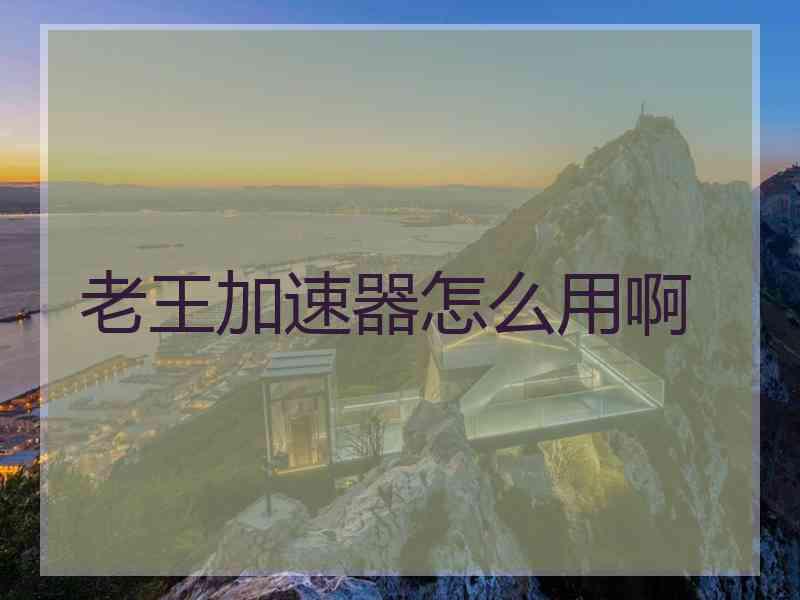 老王加速器怎么用啊