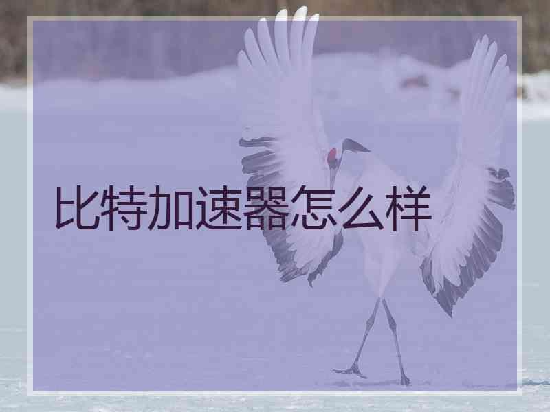 比特加速器怎么样