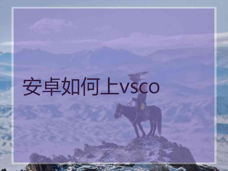 安卓如何上vsco