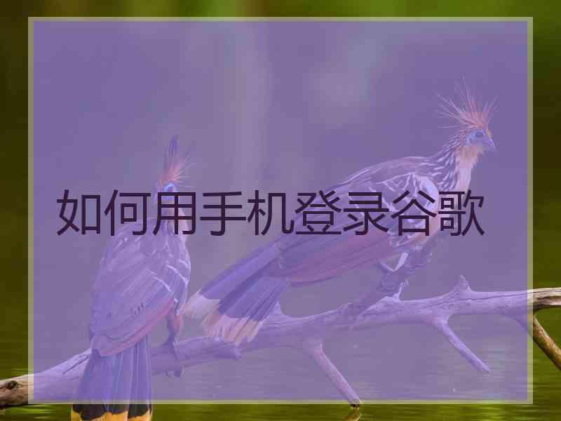 如何用手机登录谷歌
