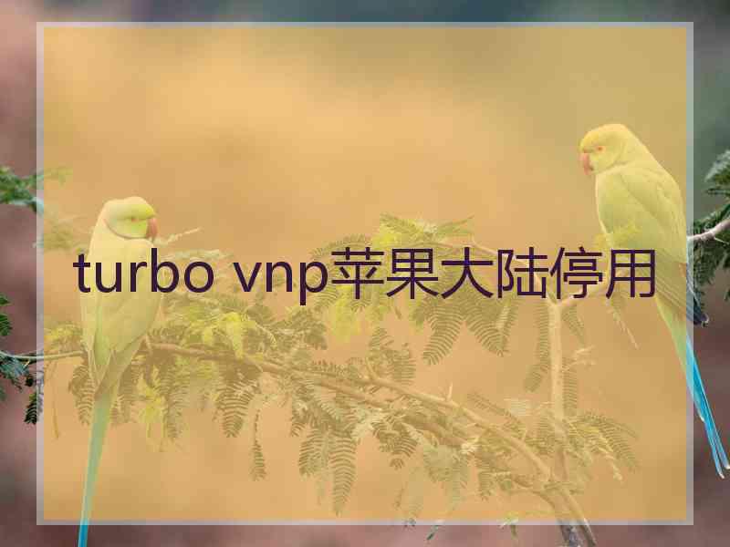 turbo vnp苹果大陆停用