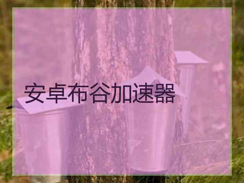 安卓布谷加速器