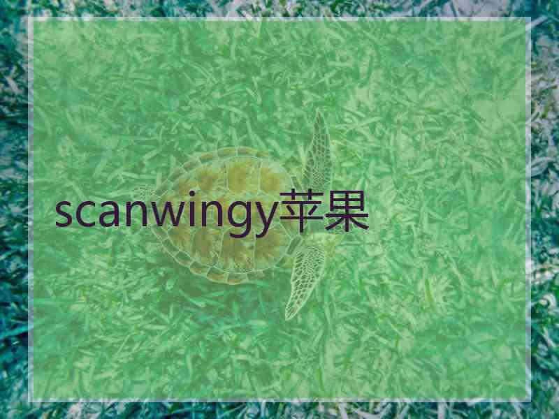 scanwingy苹果