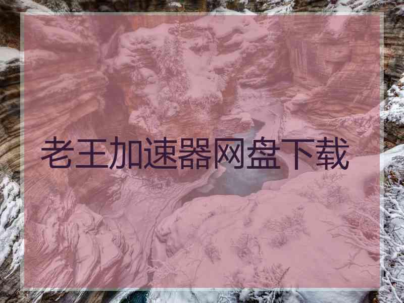 老王加速器网盘下载