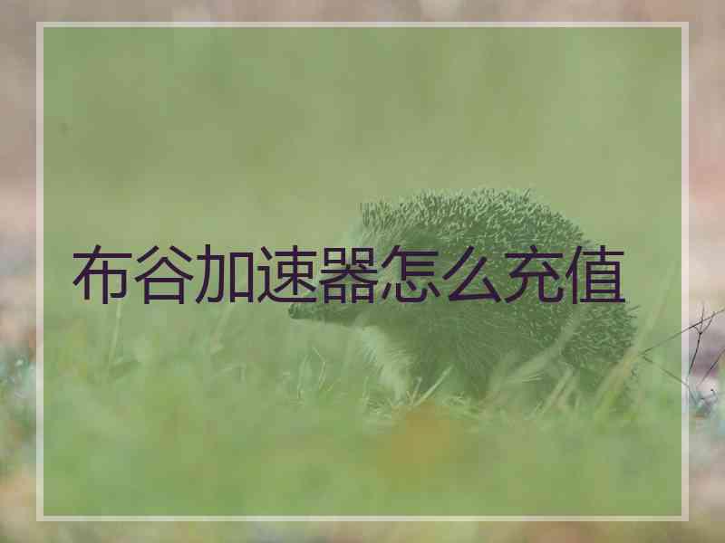 布谷加速器怎么充值