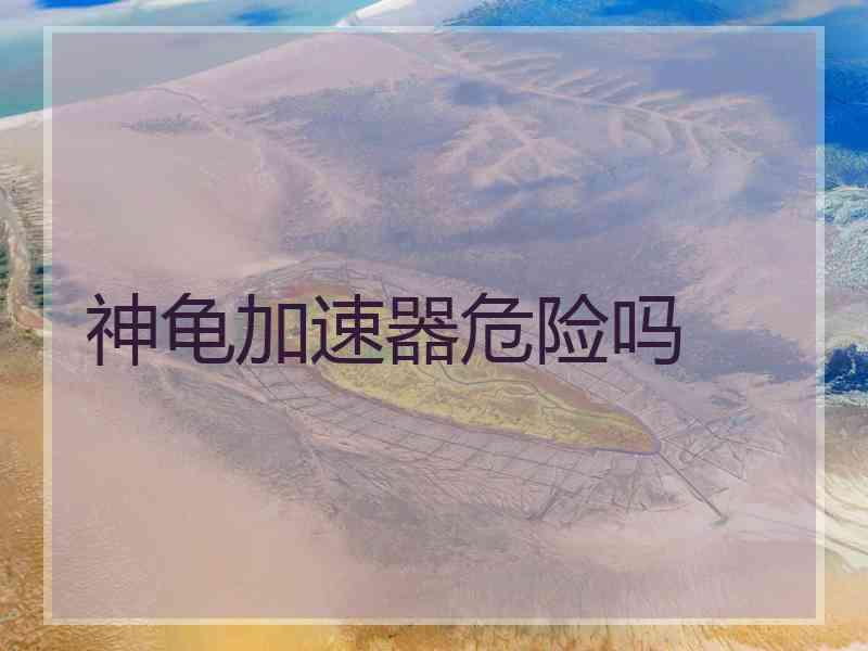 神龟加速器危险吗
