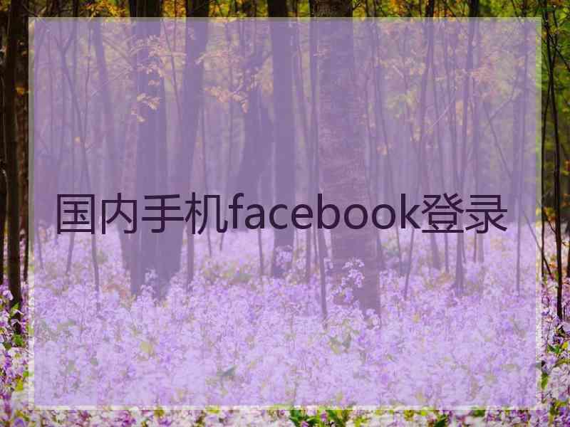 国内手机facebook登录