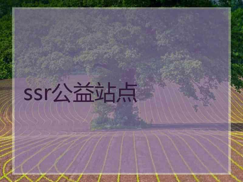 ssr公益站点