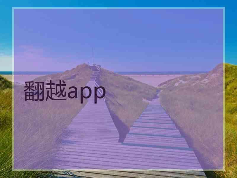 翻越app