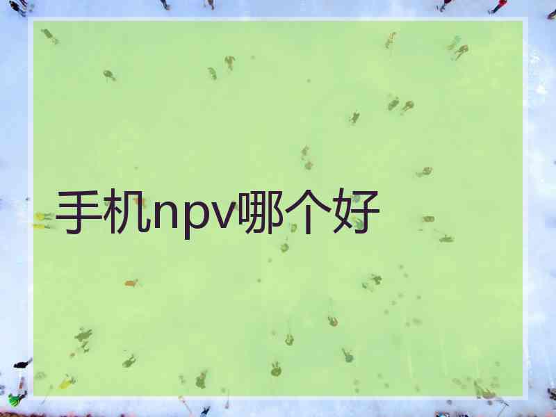 手机npv哪个好