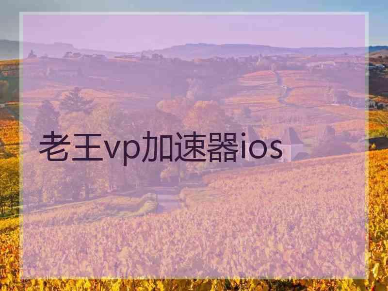 老王vp加速器ios