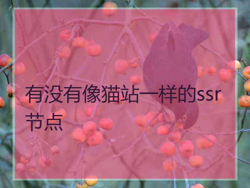 有没有像猫站一样的ssr节点