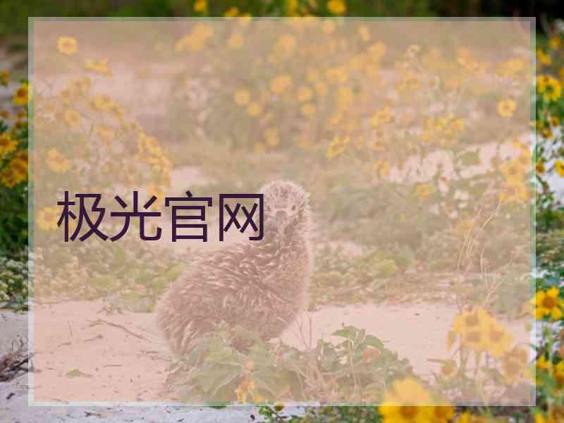 极光官网