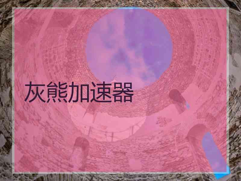 灰熊加速器
