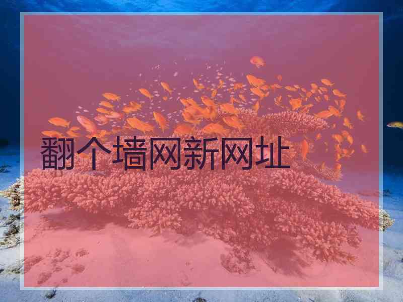 翻个墙网新网址