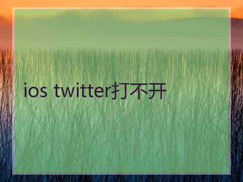 ios twitter打不开