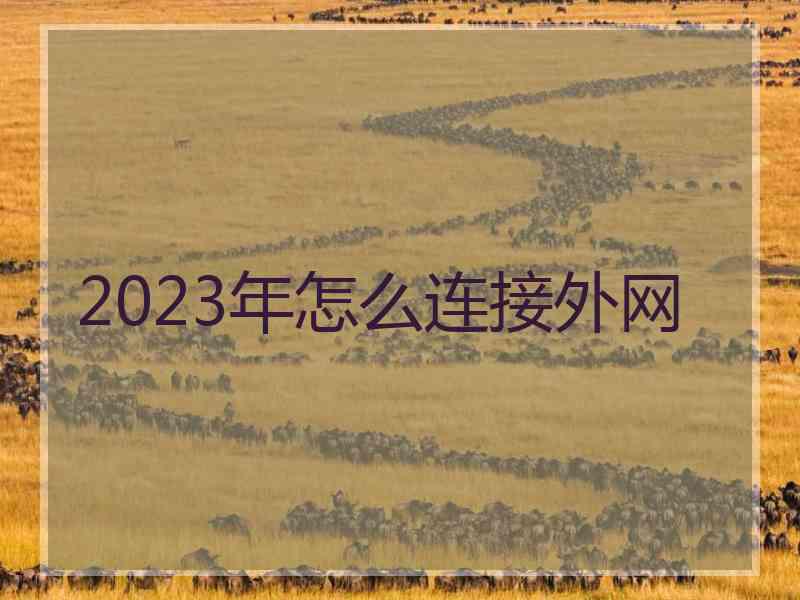 2023年怎么连接外网