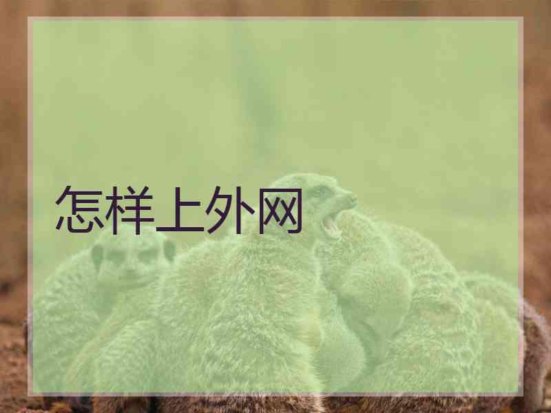 怎样上外网