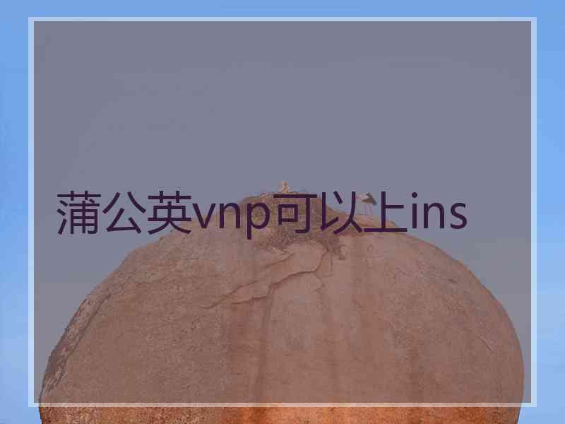 蒲公英vnp可以上ins