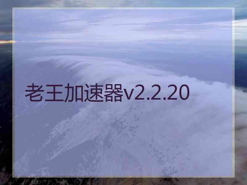 老王加速器v2.2.20