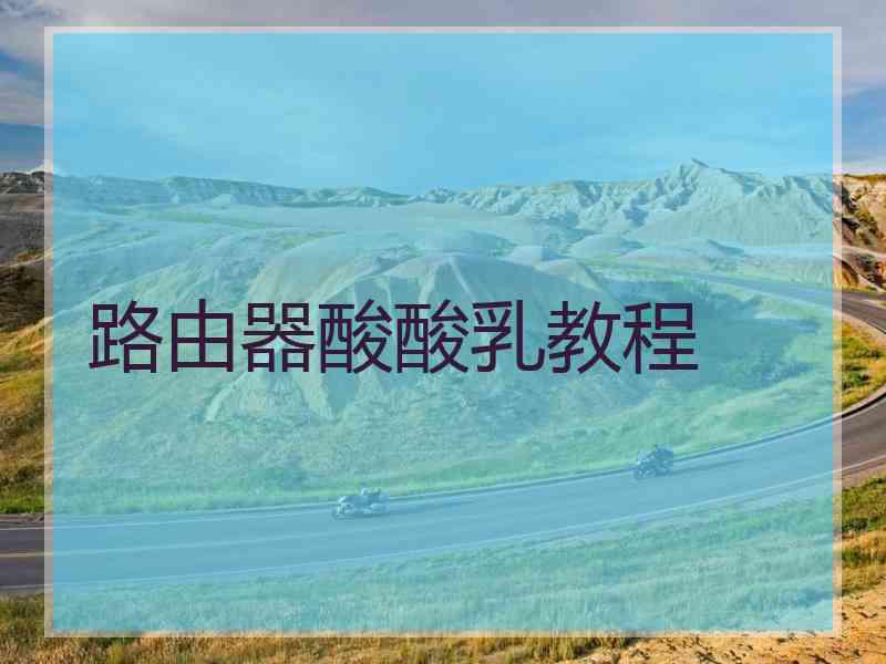 路由器酸酸乳教程