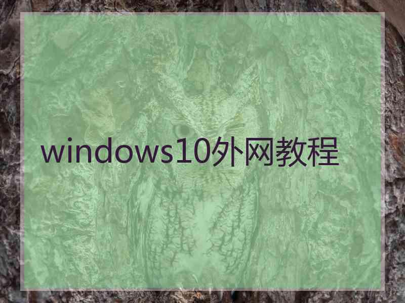 windows10外网教程