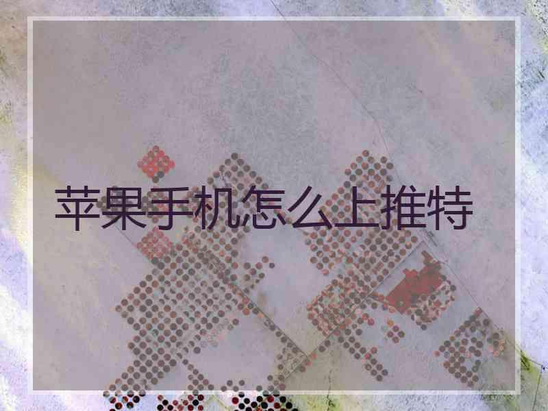 苹果手机怎么上推特