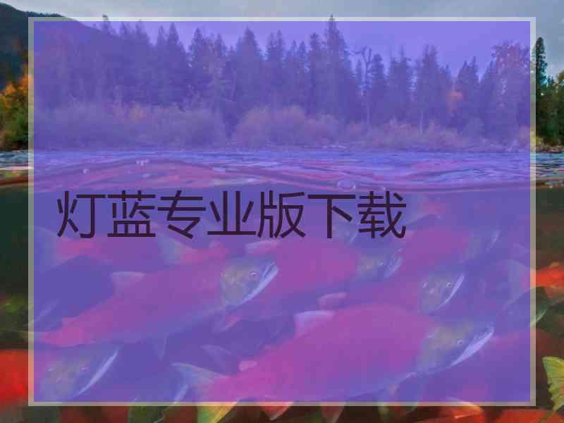 灯蓝专业版下载