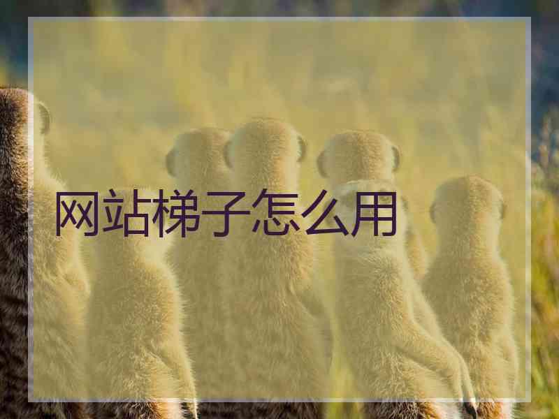 网站梯子怎么用