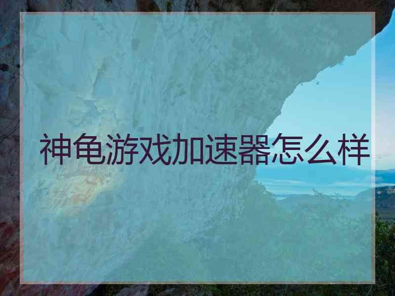 神龟游戏加速器怎么样