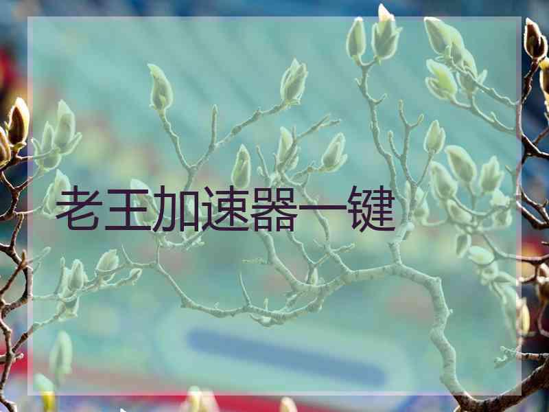 老王加速器一键