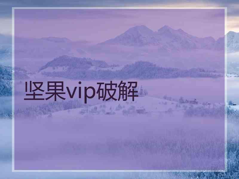坚果vip破解