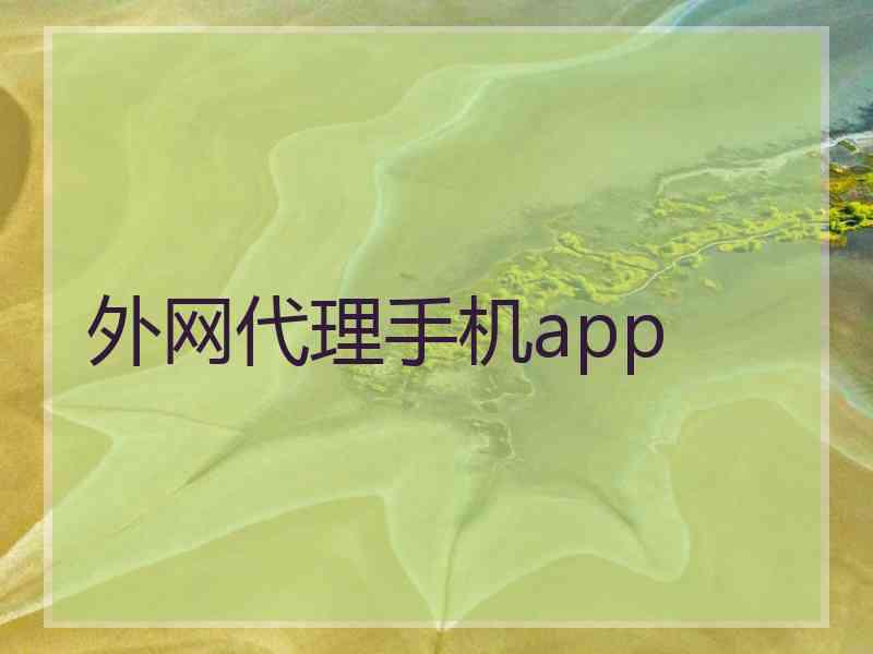 外网代理手机app