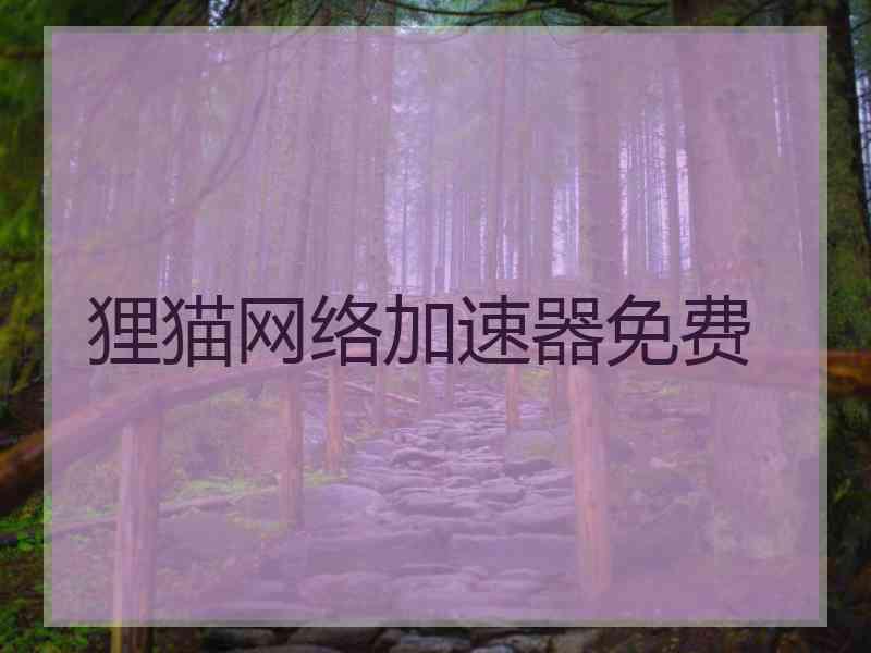 狸猫网络加速器免费