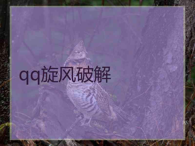 qq旋风破解