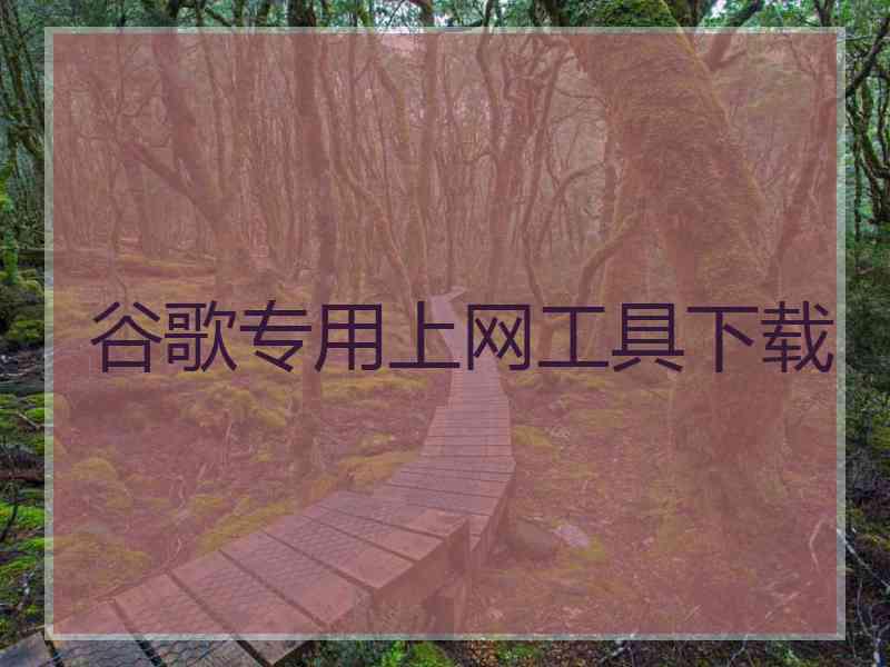 谷歌专用上网工具下载