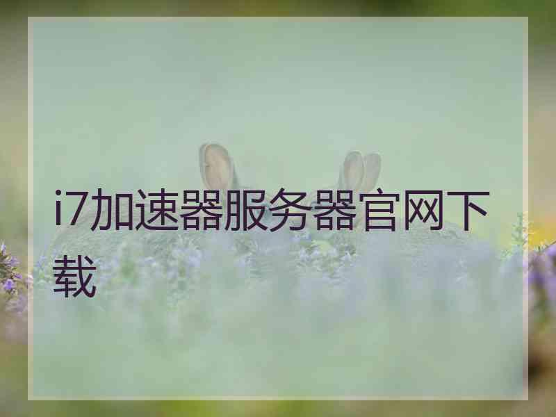 i7加速器服务器官网下载