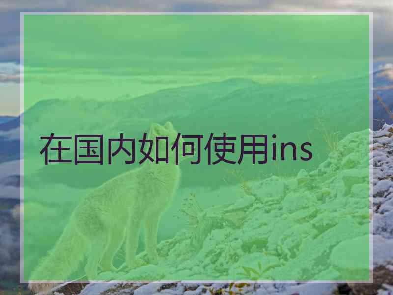 在国内如何使用ins
