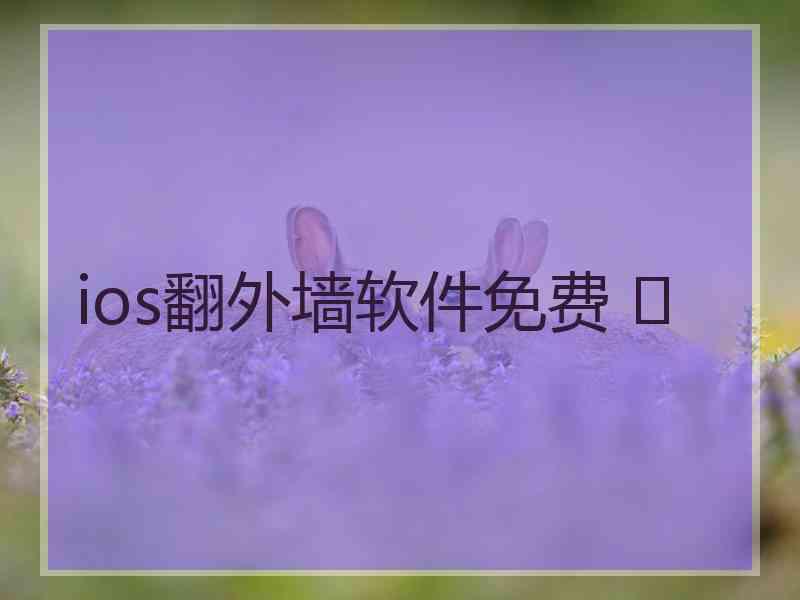 ios翻外墙软件免费 	