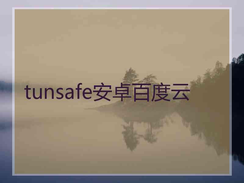 tunsafe安卓百度云
