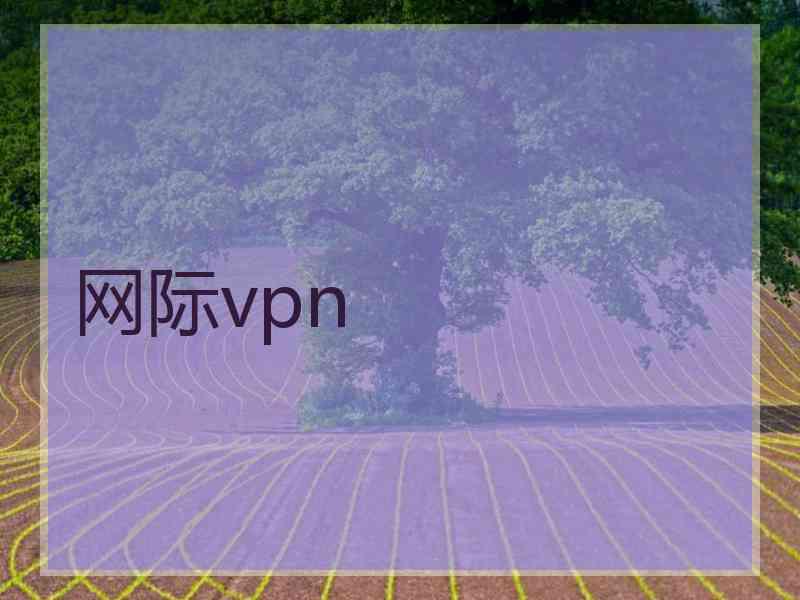 网际vpn
