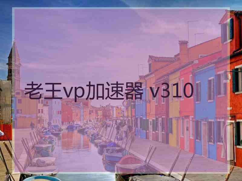 老王vp加速器 v310