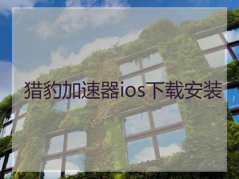 猎豹加速器ios下载安装