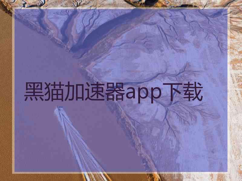 黑猫加速器app下载